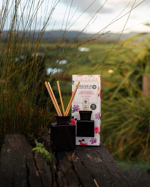 AIR WICK BOTANICA HOME REED DIFFUSER ISLAND ROSE & AFRICAN GERANIUM НАТУРАЛЕН АРОМАТИЗАТОР С РАТАНАОВИ ПРЪЧИЦИ И ЕТЕРИЧНИ МАСЛА ОТ ОСТРОВНИ РОЗИ И АФРИКАНСКИ ЗДРАВЕЦ 42 МЛ АНГЛИЙСКО КАЧЕСТВО